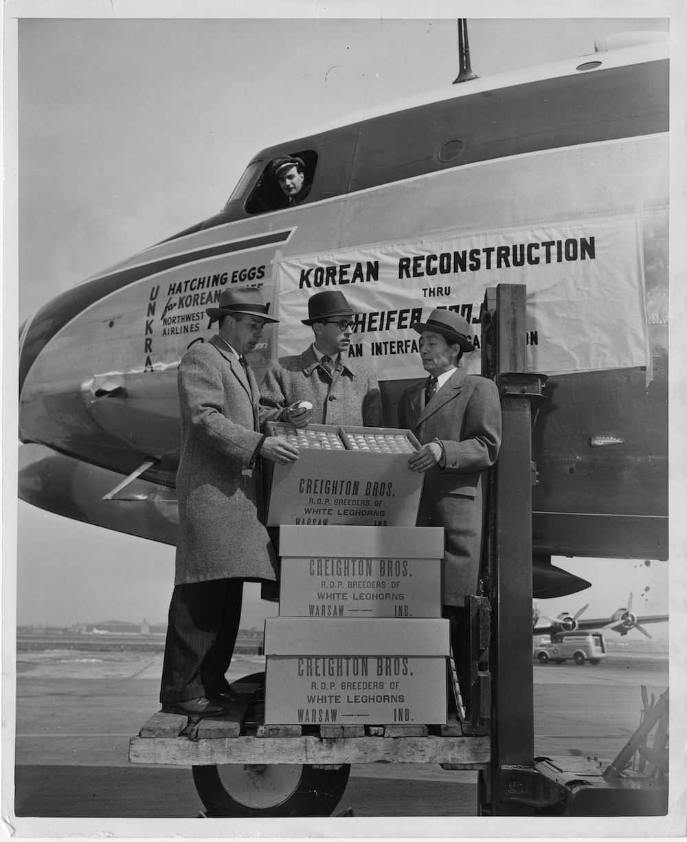 A black and white photo of three men standing by a plane, holding crates of eggs to donate.