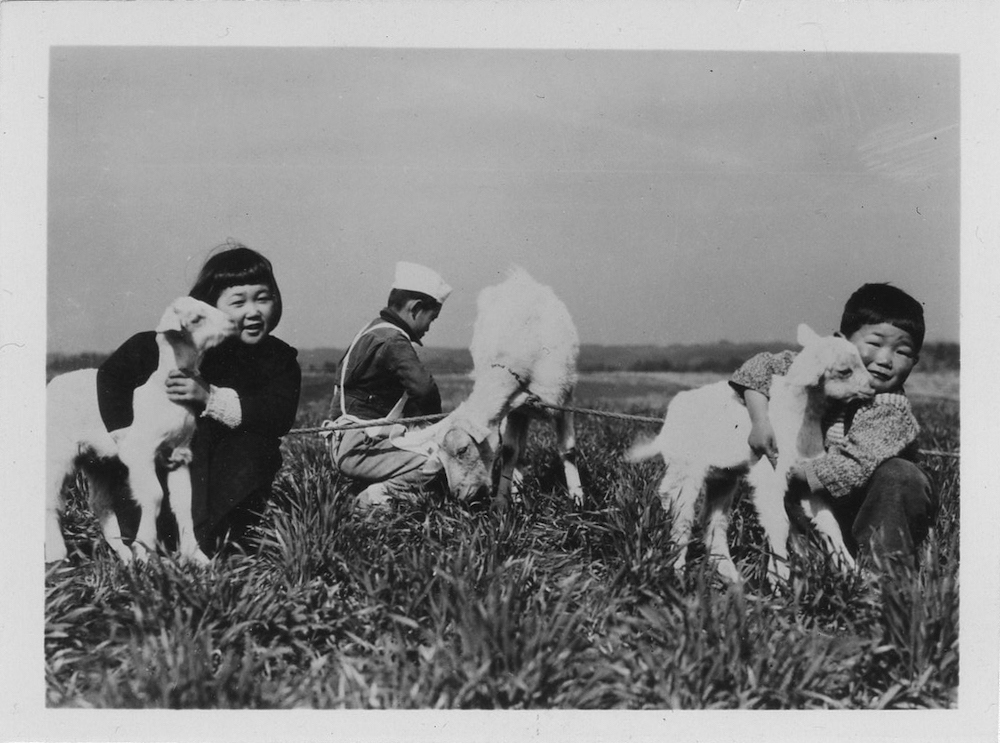 A black and white photo of two South Korean children hugging goats.