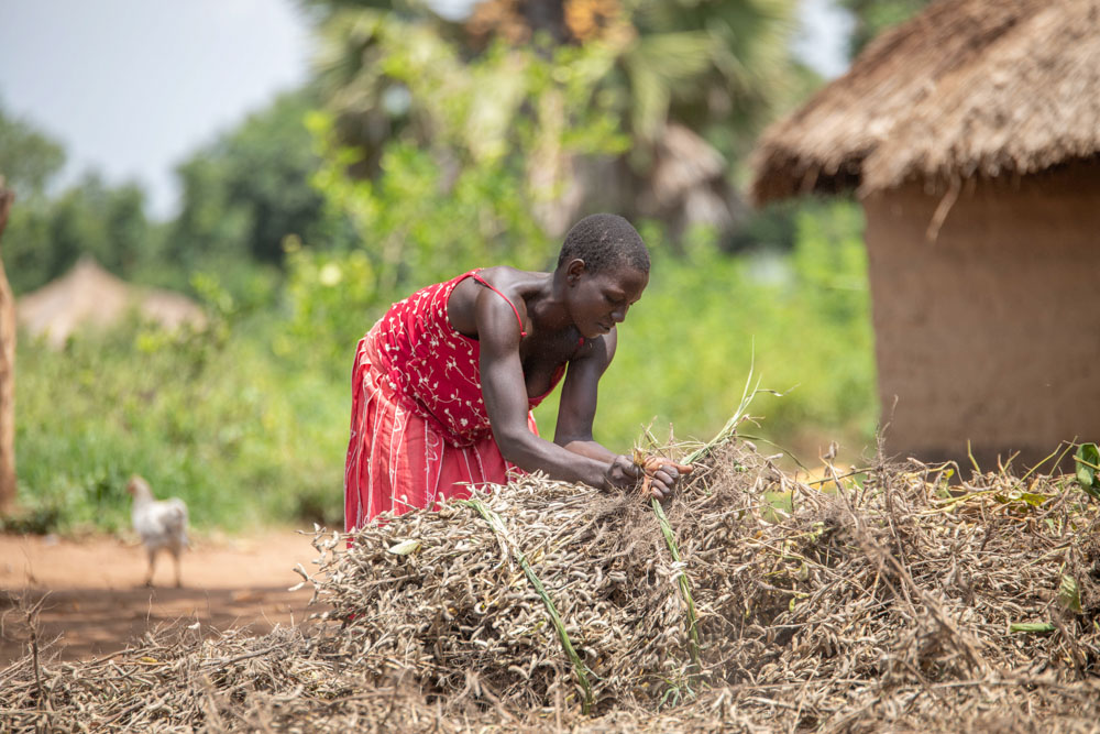 A woman sorts through a pile of crops at her farm in Uganda.