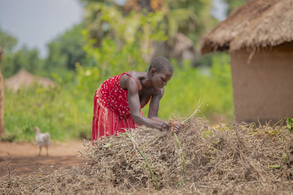 A woman sorts through a pile of crops at her farm in Uganda.