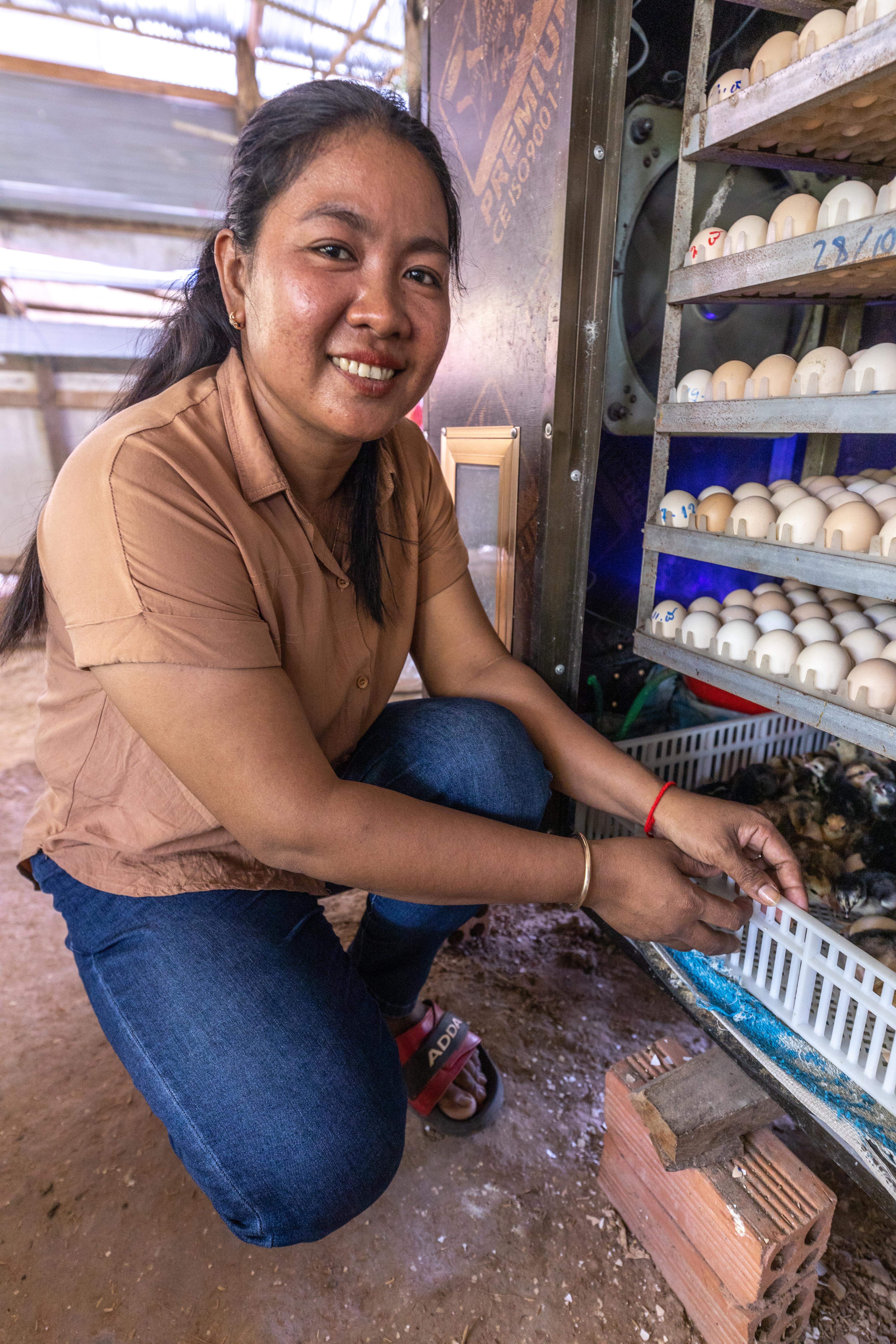 ​Set Hach pulls out a try with recently hatched chicks from the egg incubator. Photo by Phillip Davis/Heifer International