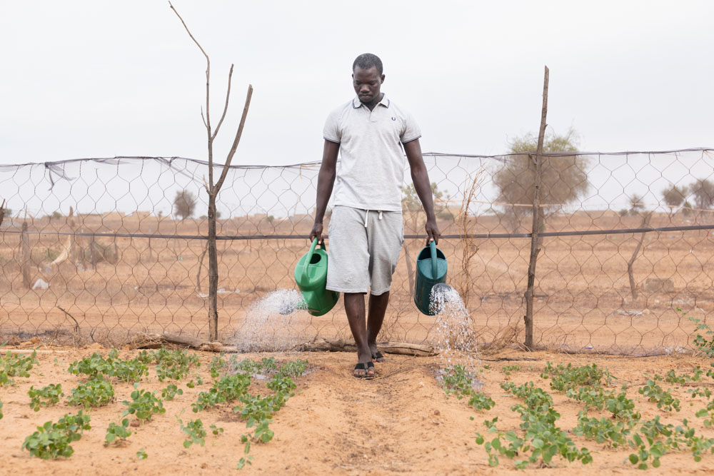 A man waters his garden in Senegal.