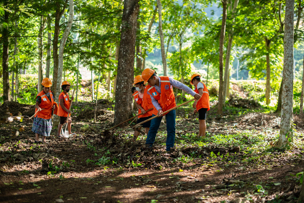 A group of people work with shovels on the forest floor in Guatemala. 