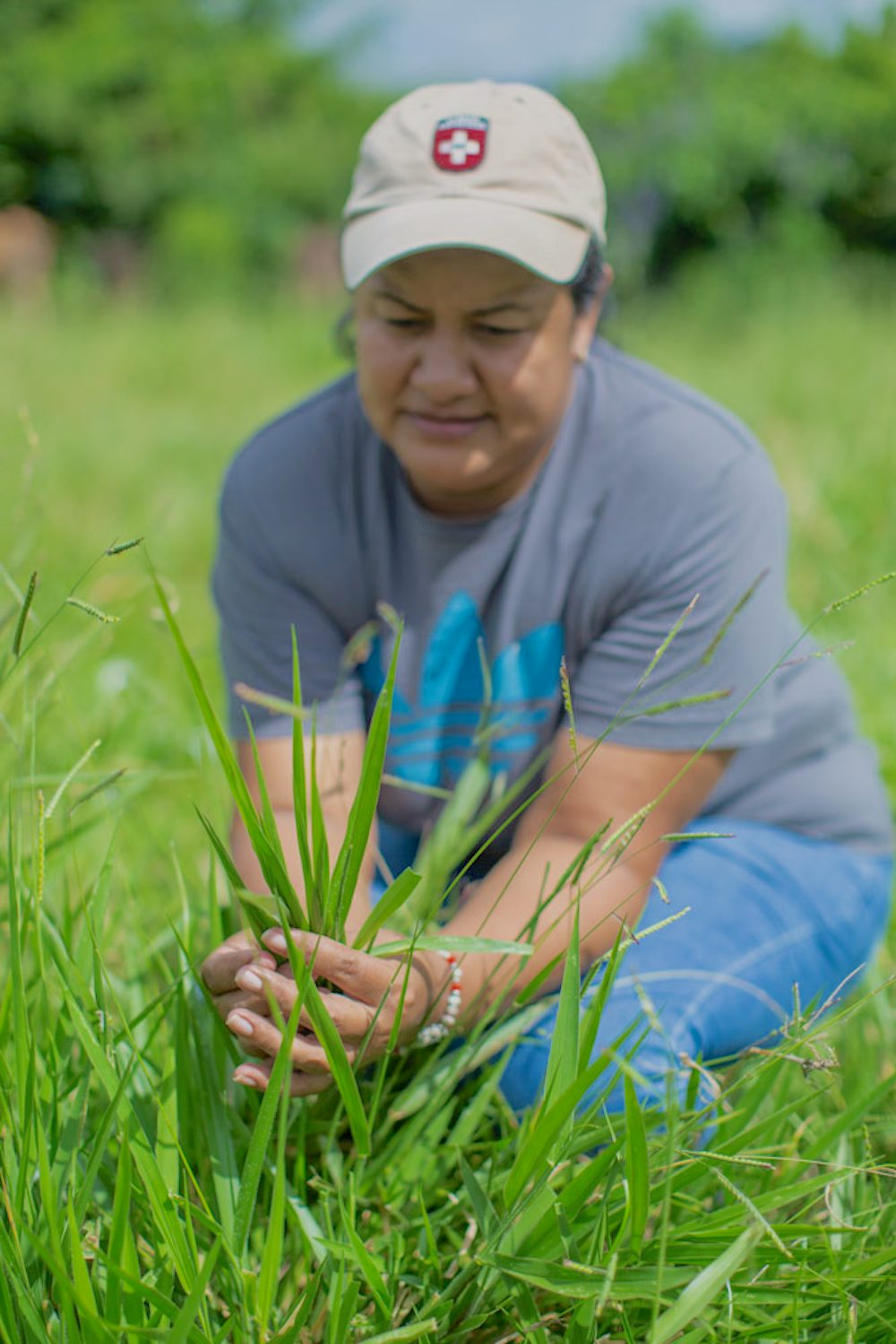 A woman examines grass in a pasture in Honduras.