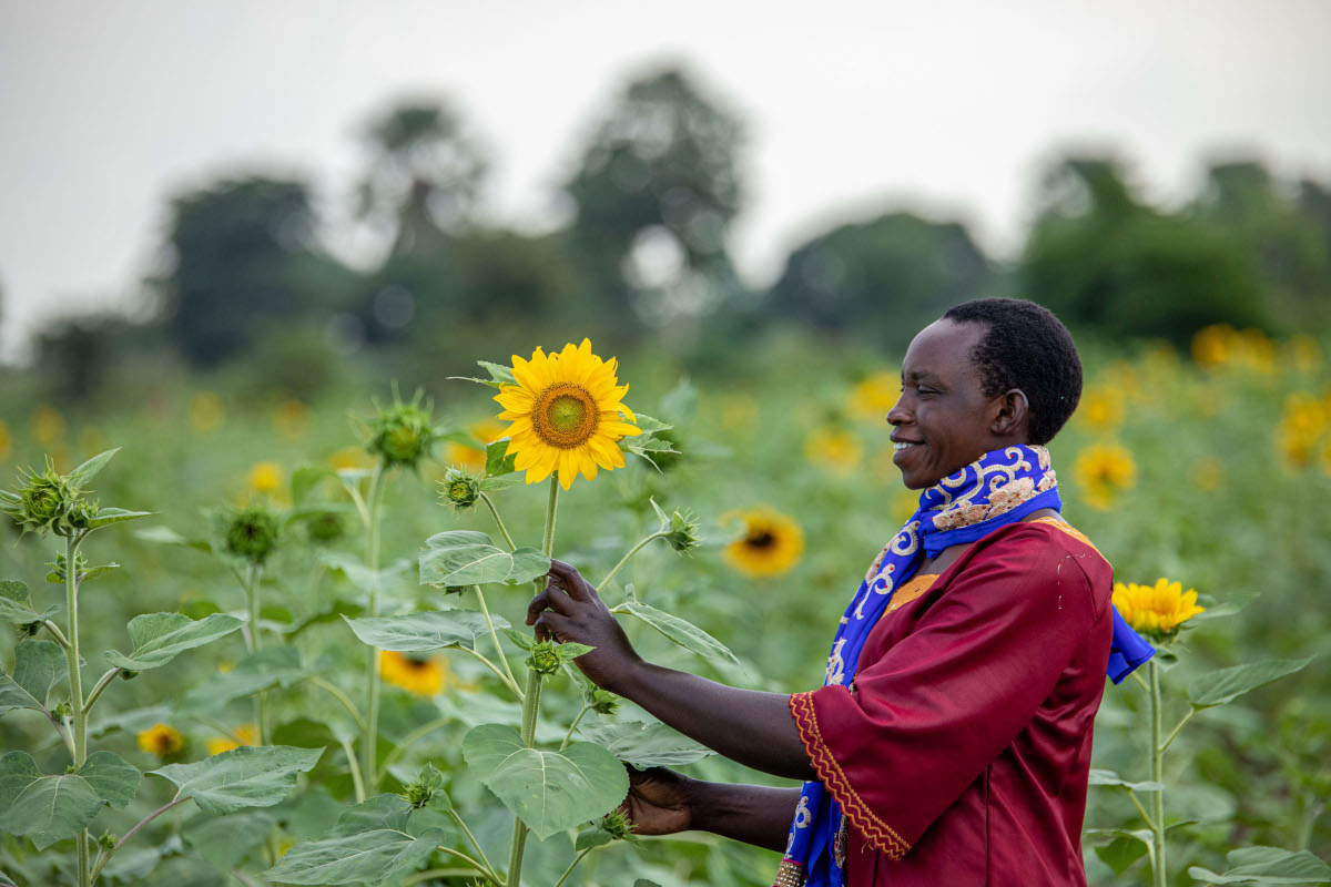 A woman holding a sunflower in a field. 