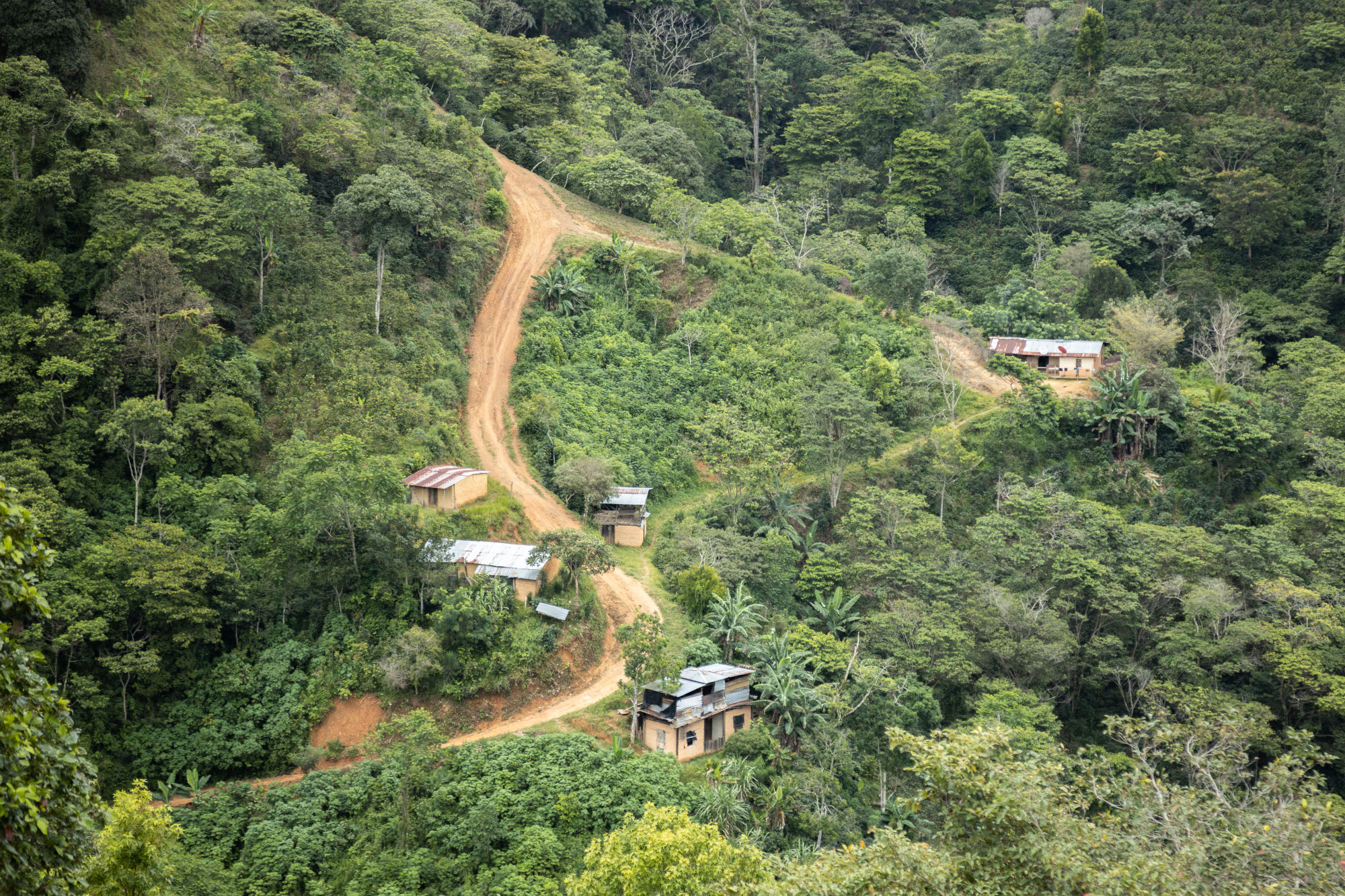 Rolling hills covered with grass and dotted with a few cottages connected with narrow rocky trails.