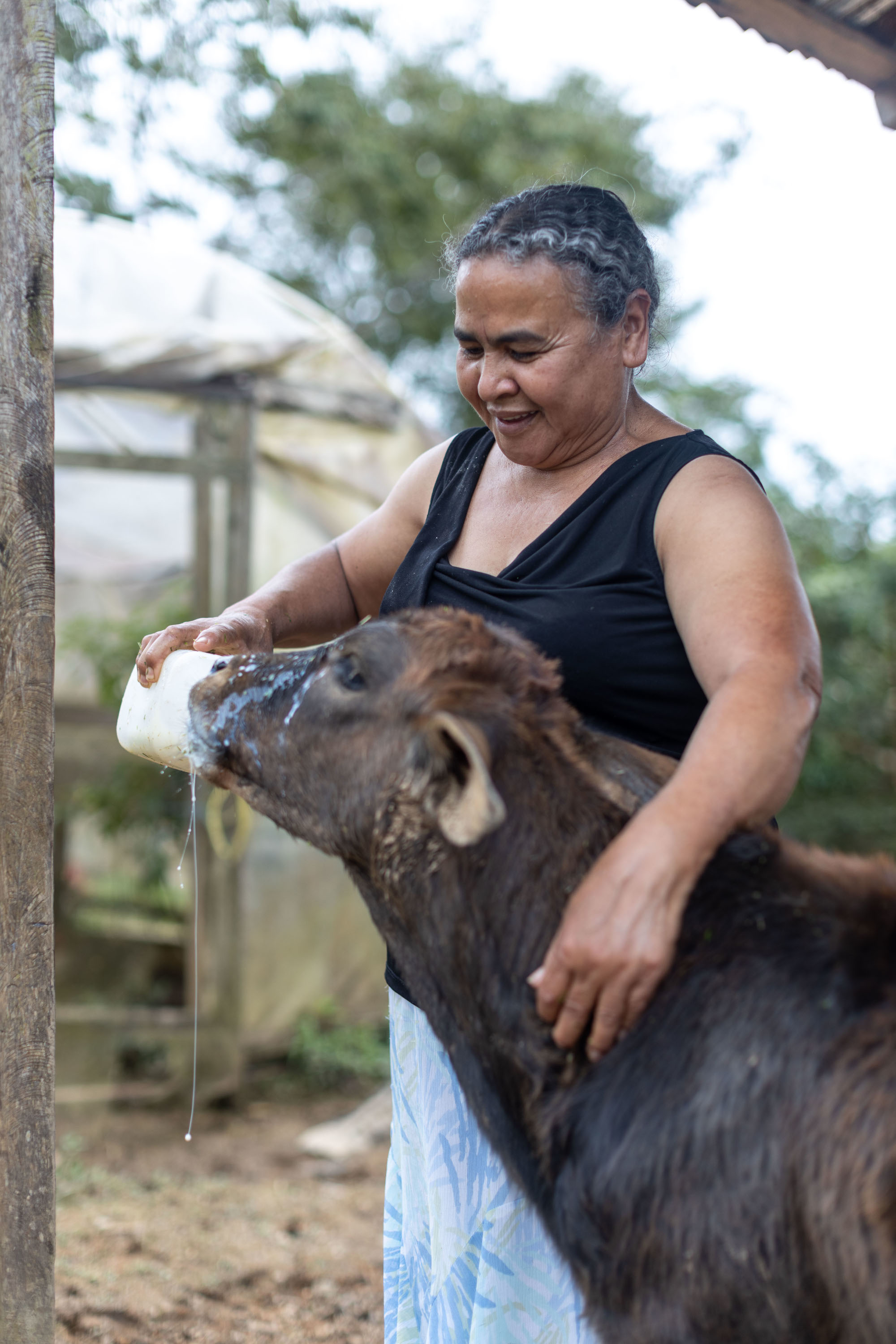 A woman feeding a calf with milk from a bottle. 