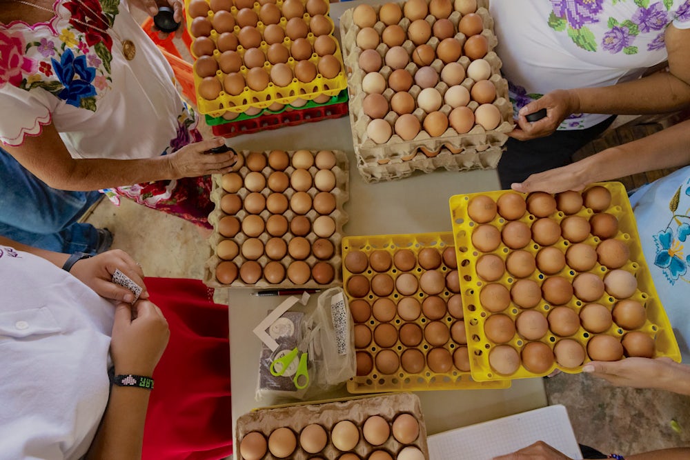 An overhead view of crates of eggs.