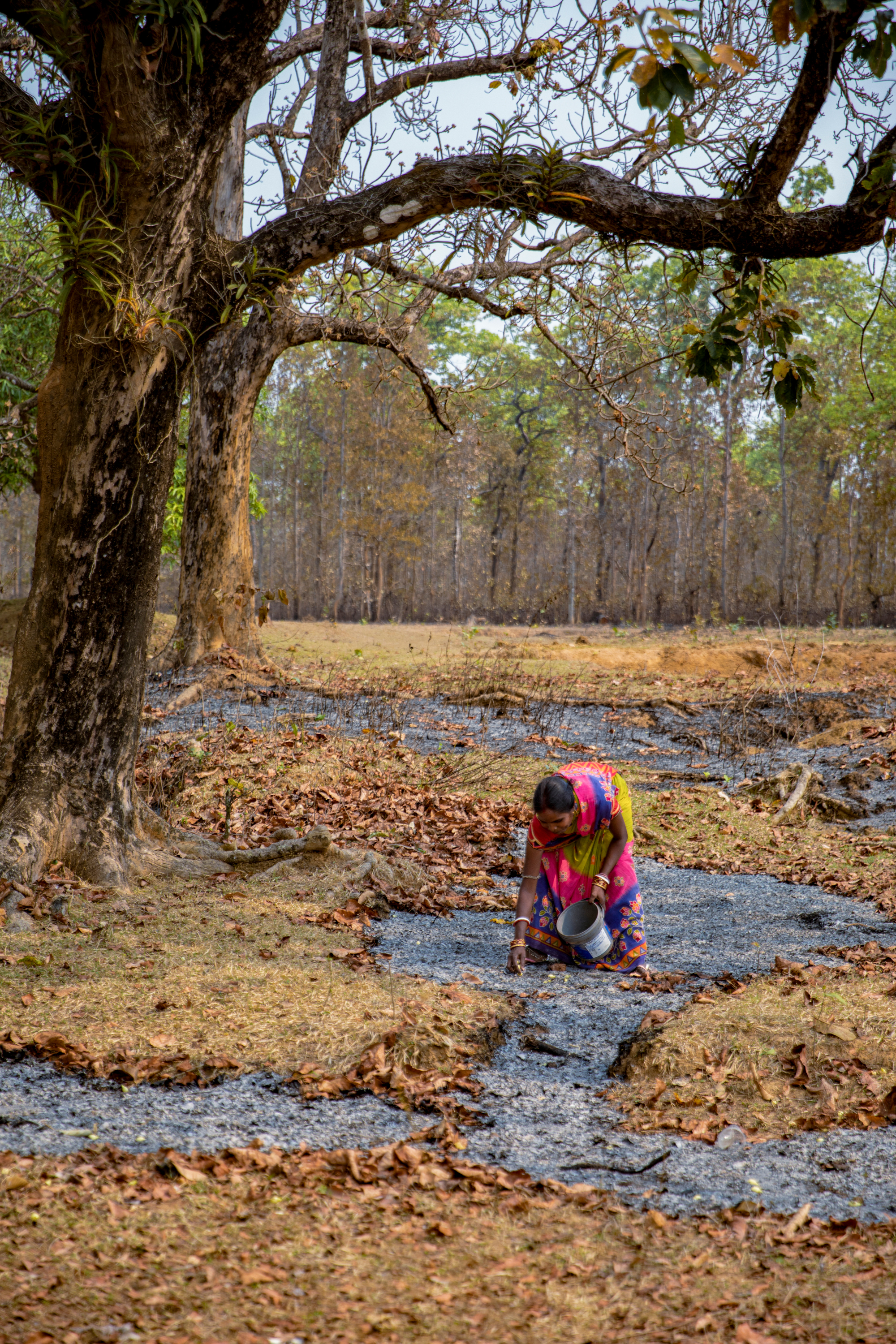 A woman picking up flowers from the ground in a forest. 