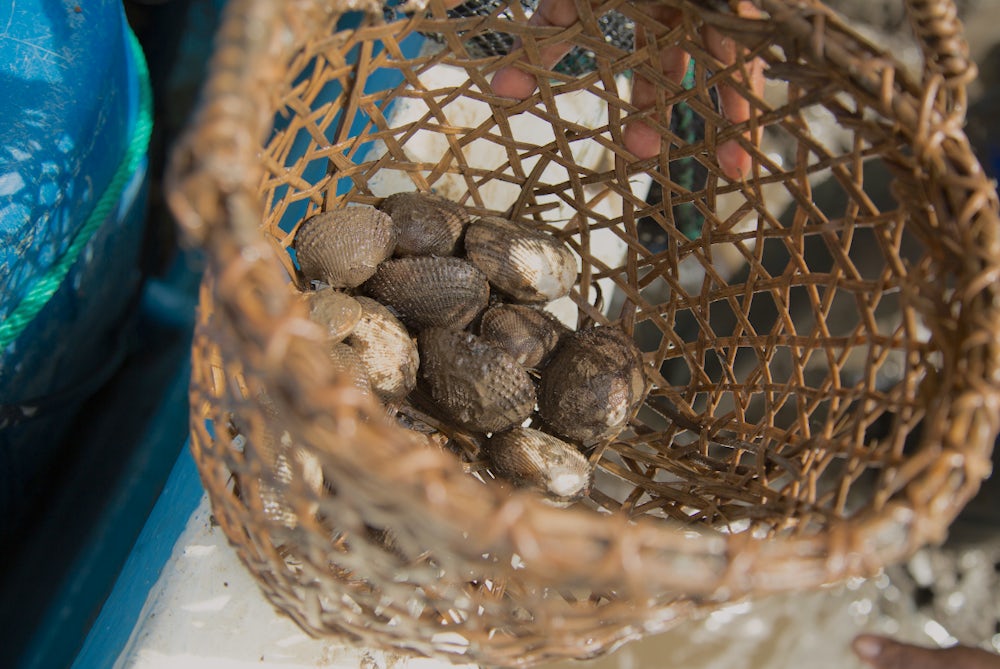 Fresh shellfish are gathered in a basket.