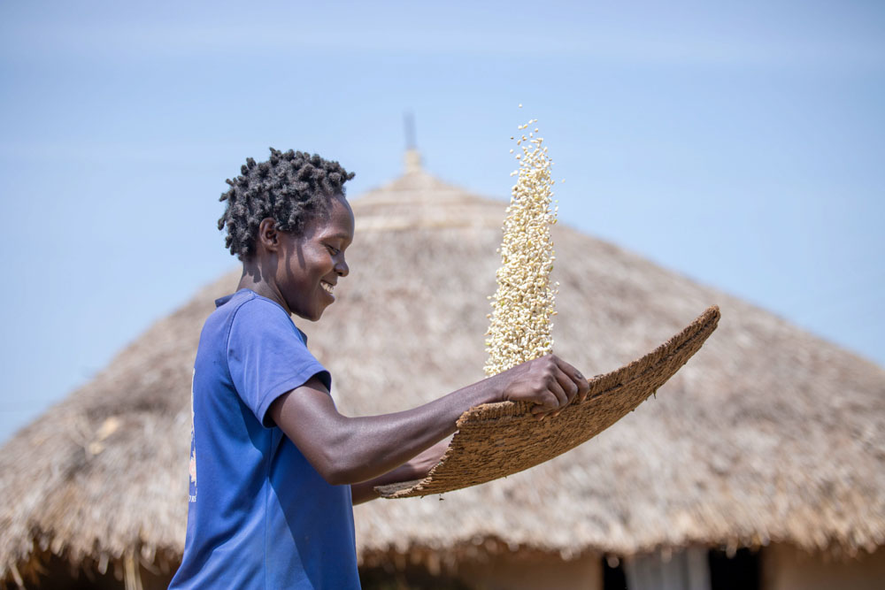 Susan Akullu sorts maize seeds.