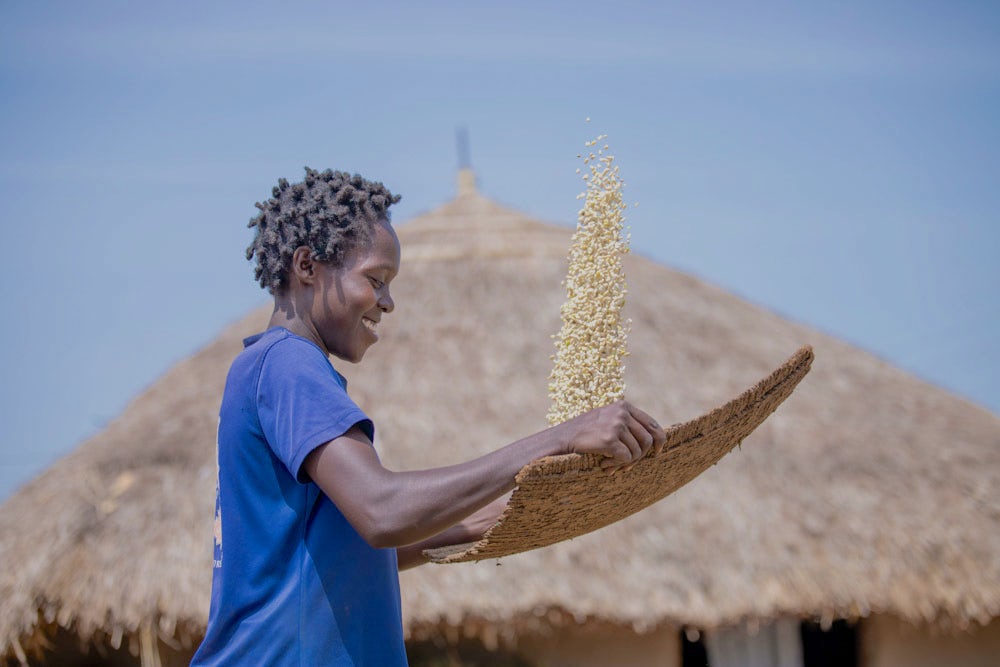Susan Akullu sorts maize seeds.