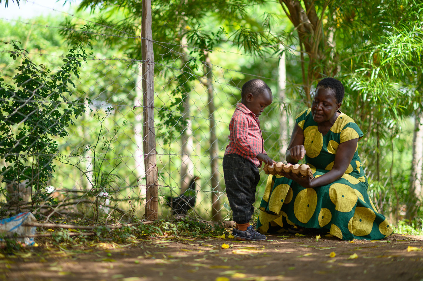 A woman holds a tray of eggs out to a boy.